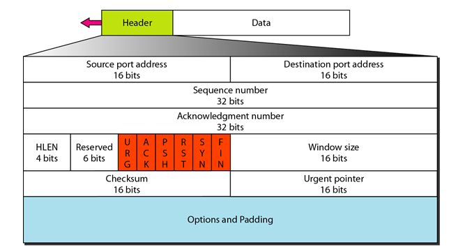 tcp segment